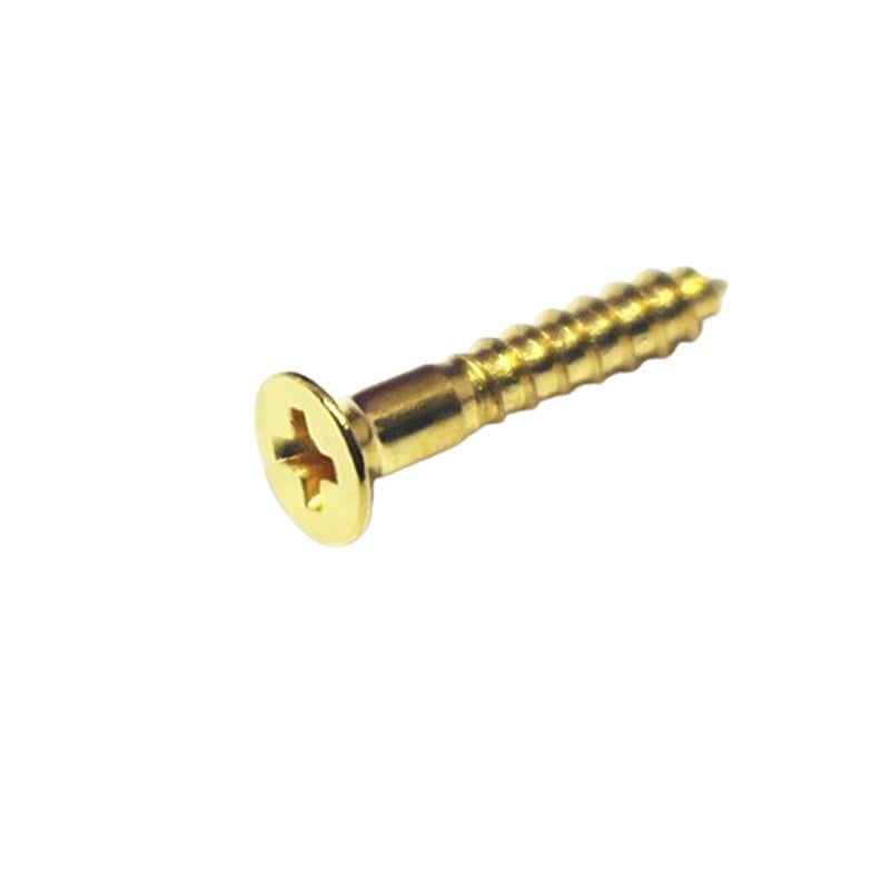 Takeuchi Floyd Rose Locking Nut Screws