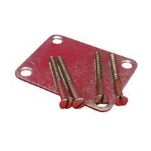 Load image into Gallery viewer, Aged Chrome Neck Plate with Slotted Screws For Telecaster
