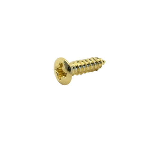 Metric Sized Pickguard Screws For Epiphone, Fender® Style Pickguards (20) - Gold