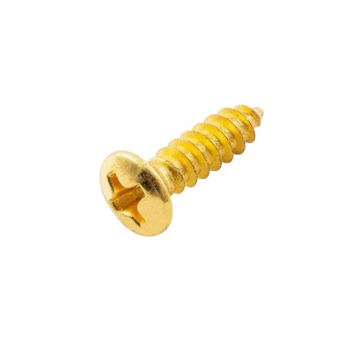 Economy 3mm Screws For Fender Pickguard (20)  - Gold