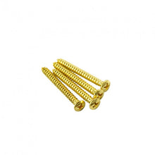 Load image into Gallery viewer, GS-041 Neck Screw For Fender Style Guitars And Basses
