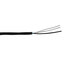 Load image into Gallery viewer, 2 Conductor Wire , 2 Feet
