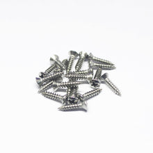 Load image into Gallery viewer, Imperial Sized Screws For Fender Pickguards (20) - Stainless Steel
