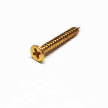 Load image into Gallery viewer, Humbucker Pickup Mounting Ring Screws - Short
