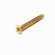 Load image into Gallery viewer, Humbucker Pickup Mounting Ring Screws - Long
