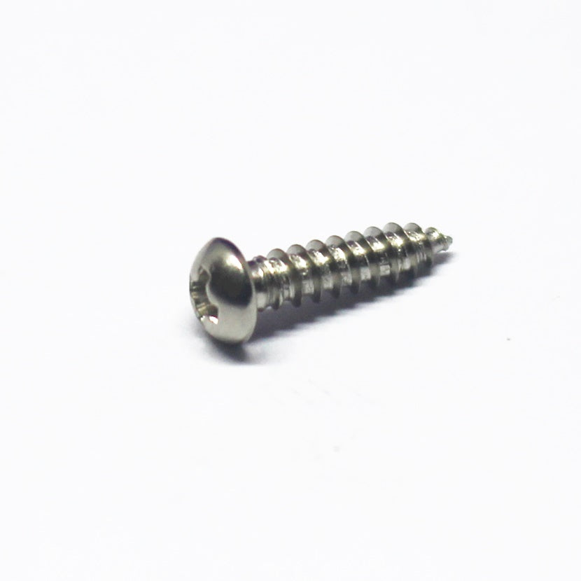 Machine Head Mounting/Truss Rod Cover Screws (12)