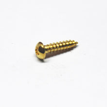 Load image into Gallery viewer, Machine Head Mounting/Truss Rod Cover Screws (12)
