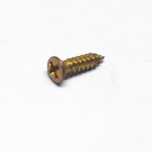 Load image into Gallery viewer, Imperial Sized Pickguard Screws (19) - Aged Gold
