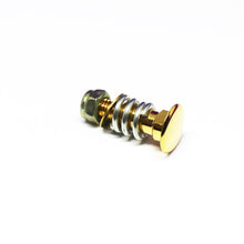 Load image into Gallery viewer, Replacement Bigsby Hardware Kit
