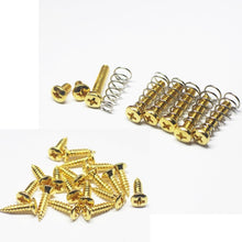 Load image into Gallery viewer, Pickguard, Pickup, Switch Screws &amp; Long Springs For Stratocaster
